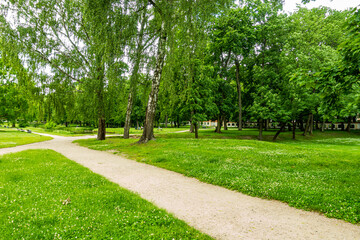 Białystok Podlasie pałac park branickich drzewa ścieżka chodnik trawa
