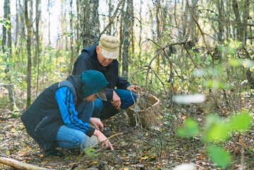 Father and son pick mushrooms