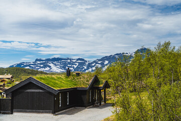 Park Narodowy Jotunheimen w Norwegii