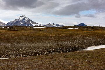 Fototapeta na wymiar Nature of the Svalbard archipelago