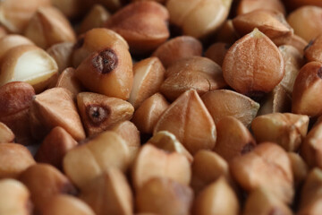 Macro photo of buckwheat grains. Soft focus.