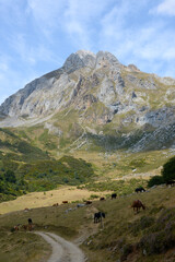 mountains of picos de europa in northern Spain region of Asturias, Cantabria ans Castilla y Leon