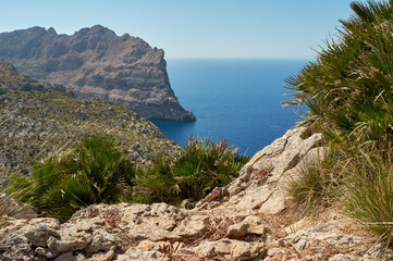 Panoramic views of Cape Formentor . Majorca. Balearic Islands. Spain