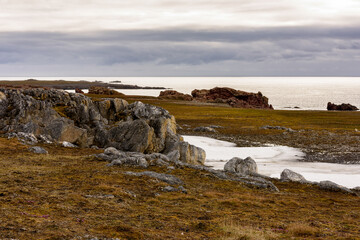 Stones and Nature of the Svalbard archipelago