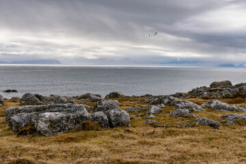 Stones and Nature of the Svalbard archipelago