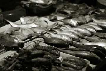 Fish on night market