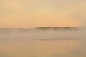 Morning fog obscuring lake and forest