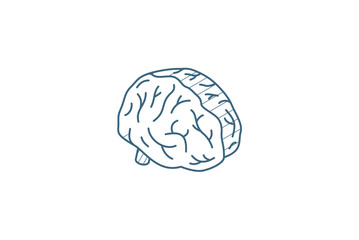 Brain isometric icon. 3d line art technical drawing. Editable stroke vector