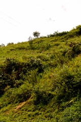 It's Nature of the Northern Vietnam