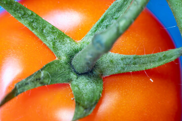 Ripe tomatoes close-up, macro.