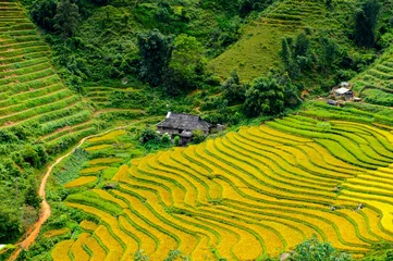 Fotobehang It's Rice terraces in Northern Vietnam © Anton Ivanov Photo