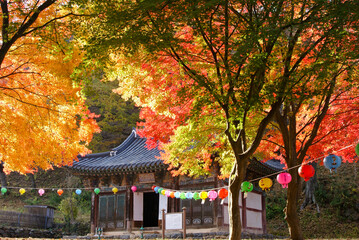 Brilliant autumn foliage and colorful paper lanterns frame a small shrine at Magoksa Buddhist temple, Gongju, South Korea