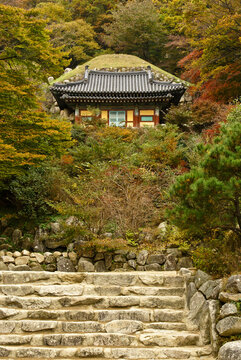 Autumn colors surround Seokguram Grotto containing a Buddha image, Gyeongju, South Korea
