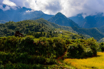 Obraz premium It's Catcat village in Vietnam