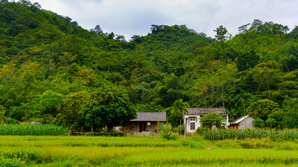 Fototapeta na wymiar It's Natural landscape of the Northern Vietnam