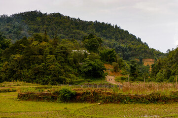 Obraz premium It's Village Ta Phin in Northern Vietnam