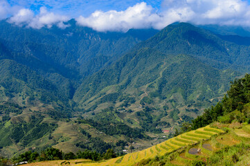 Fototapeta na wymiar It's Rice terraces on the mountain hills in the Northern Vietnam