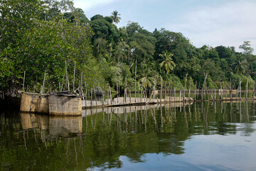 Fototapeta na wymiar Prawn (shrimp) farm on Maduwa River (Madu Ganga), Sri Lanka