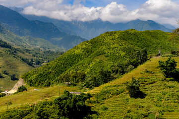 Naklejka premium It's Nature of the Northern Vietnam