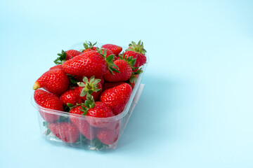 Strawberry. Fresh harvest of organic berries on blue background. Copy space, banner.