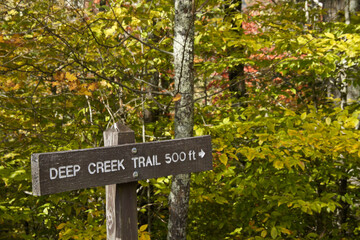 Autumn foliage and Deep Creek Trail marker, Great Smoky Mountains National Park, North Carolina