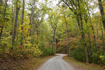 Fototapeta na wymiar Autumn foliage along Rich Mountain Road out of Cades Cove, Great Smoky Mountains National Park, Tennessee