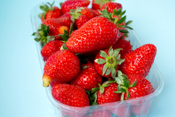Strawberry. Fresh harvest of organic berries. Close up.