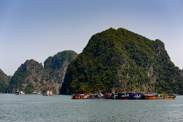 Obraz premium It's Ha Long bay islands in the Indochina sea. UNESCO World Heritage site