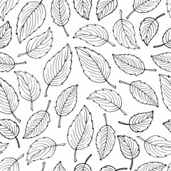 Seamless pattern with black leaves on white background. Black white sketch. Hand drawn digital paper. Abstract pattern with black leaves for scrapbooking, wallpaper, fabric, packing, wrapping design