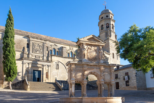 Baeza Cathedral in Jaen, Spain, from Plaza de Santa Maria (Saint Mary square)