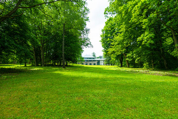 Białowieski Park Narodowy Białowieża Podlasie Drzewa park trawa natura