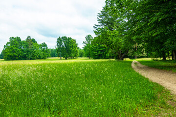Białowieski Park Narodowy Białowieża Podlasie Łąka pole drzewa park ścieżka