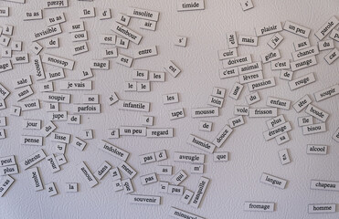 French fridge magnets in a disordered pattern.