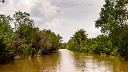 It's Beautiful nature of Mekong Delta in Vietnam