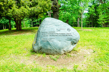 Białowieski Park Narodowy Białowieża Podlasie Kamień głaz pomnik drzewa park