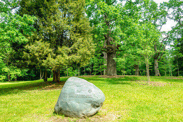 Białowieski Park Narodowy Białowieża Podlasie Drzewa park kamień pomnik
