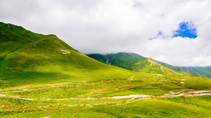 It's Rocks in grass and nature of the beautifull green mountains