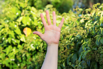 female left hand open with outstretched fingers and nature background
