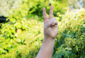 Fototapeta na wymiar male left handed hand doing victory and peace gesture with nature background