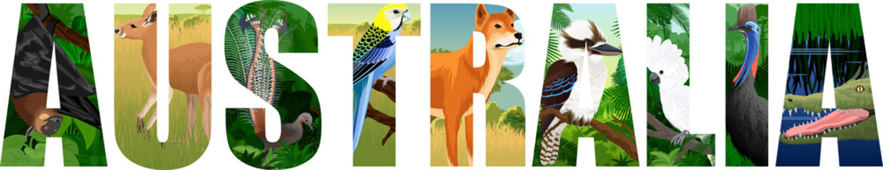 vector Australia word with animals with lyreburd, dingo, bat, parrot, crocodile, kookaburra, kangaroo and cassowary © Save Jungle
