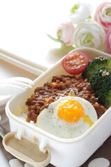 Japanese food, keema curry and rice in bento for lunch