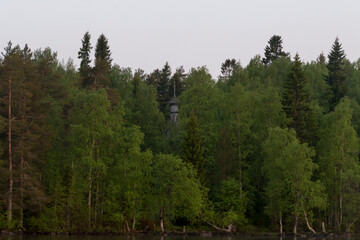 Russia, Karelia: 06.07.2019: White nights. Dawn on Lake Muezero. Trinity Monastery on Trinity Island, old wooden church of St. Nicholasin a forest.