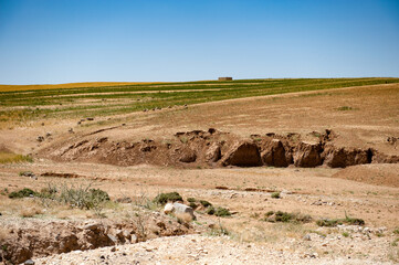 It's Grass and sand nature