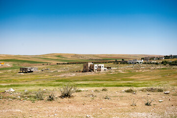 Obraz premium It's Grass and sand nature