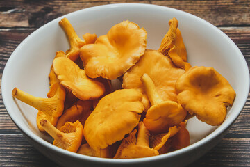 Forest orange chanterelle mushrooms on brown wooden background