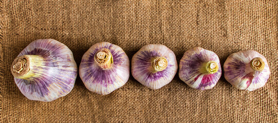 Fresh garlic on a wooden background. Fragrant spice for cooking.