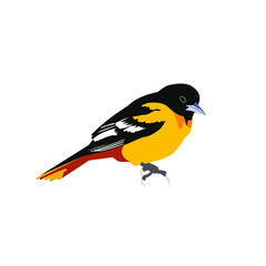 bird on a white background