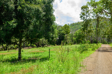 grazing paddock next to a gravel road,  in Kroombit Tops National Park, Queensland