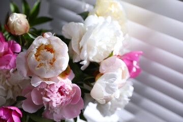 Closeup view of beautiful peonies near window indoors