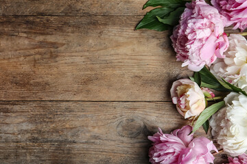 Beautiful peonies on wooden table, flat lay. Space for text